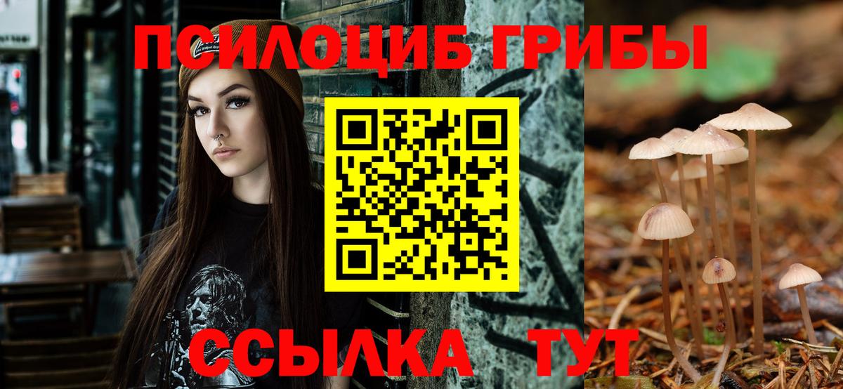 Звенигород  Галлюциногенные грибы GOLDEN TEACHER  Вход с VPN  Галлюциногенные грибы MAGIC MUSHROOMS 